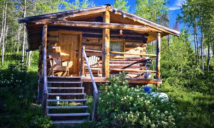 Clark Cabin | Burton Cabin - Rustic Retreat with Family & Pet-Friendly Perks