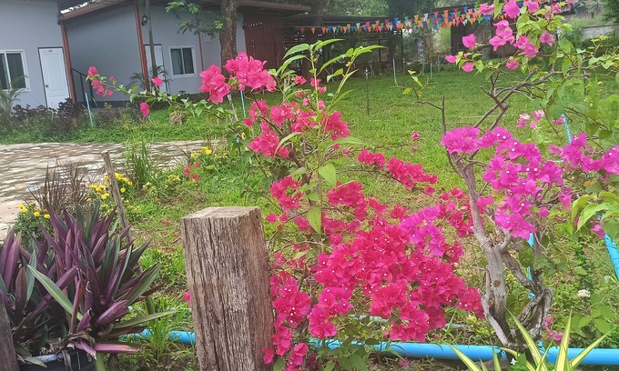 Tha Muang Hotel | Discover Bussaracum Hotel: Family-Friendly with Dining Options