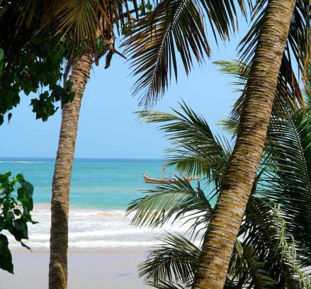 Busua Bed & Breakfast | Relax at Busua Inn: Oceanfront Charm & Pet-Friendly Stays