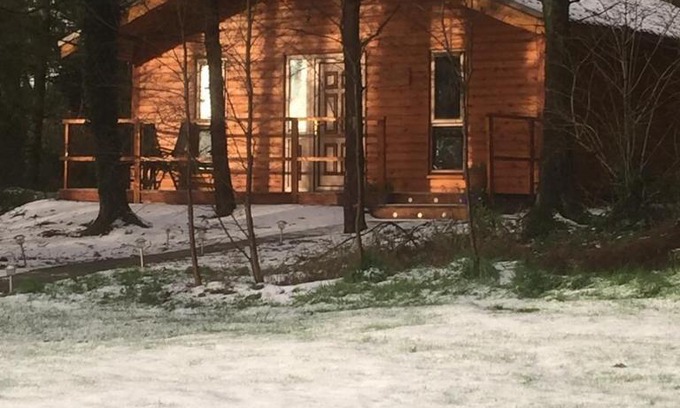 Annacotty Cabin | Discover the Cozy Butterfly Cabin - Rated 9/10 for Families