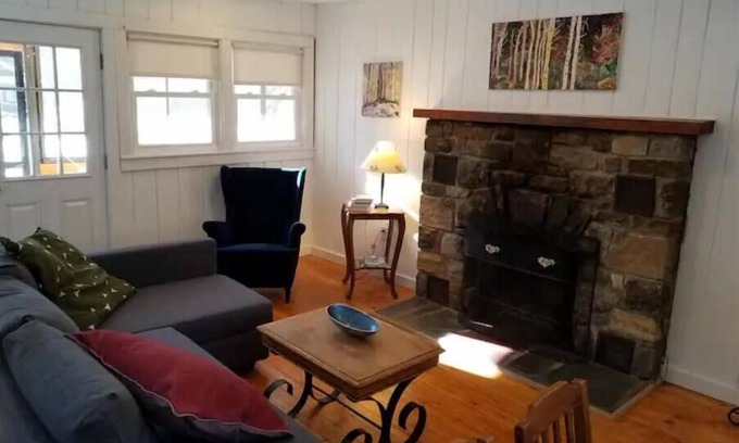 Johnsburg Cabin | Pet-Friendly Butternut Adirondack Cabin - Perfect for Families