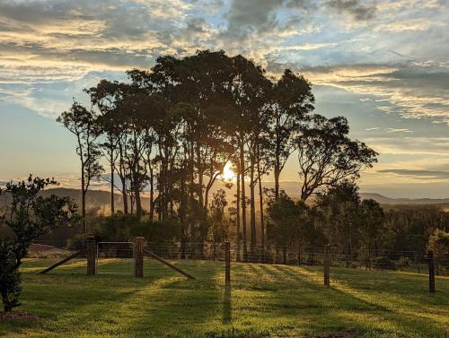 Coomba Park House | Discover Byadbo: Pet-Friendly Hotel for the Whole Family