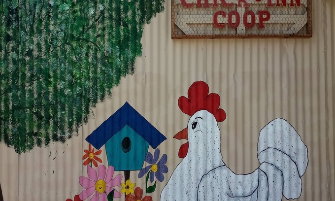 Shiner Other | Top-Rated Byrd's Farmhouse Chick-Inn Coop with Breakfast