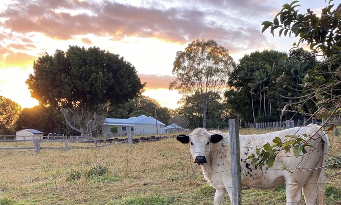 Cumbalum Other | Discover Ballina Byron Hinterland Hideaway with Pool & Views