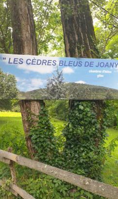 Viviez House | Discover Les Cèdres Bleus de Joany with Oceanfront Views