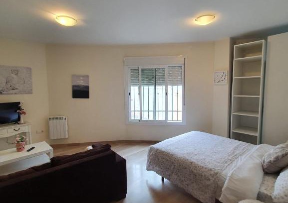 Barrio de la Vega Apartment | Comfortable and Functional A4 Studio: Pet & Child Friendly