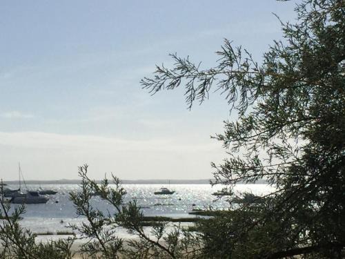 Biganos House | Cozy Côté Bassin Retreat for Families with Pets Welcome