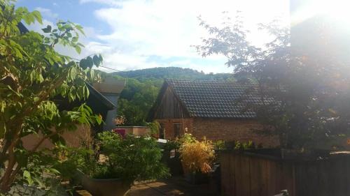 Munster Apartment | Pet-Friendly Retreat: Côté nature in Munster Awaits You