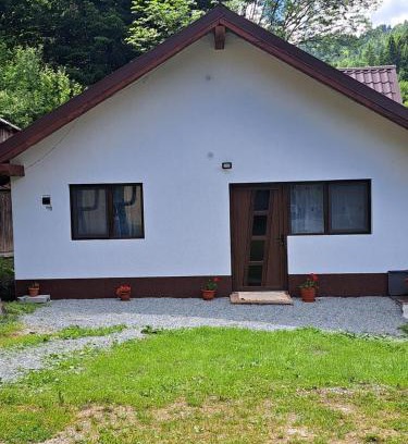 Vadu Motilor House | Căşuţa LA CUCU