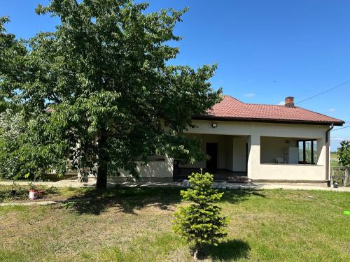 Bradu House | Discover Căsuța de la țară: Pet-Friendly Getaway