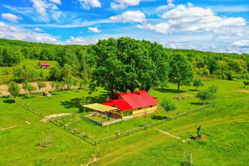 Novaci House | Experience Căsuța din Stejari - Oceanview Retreat with Kitchen