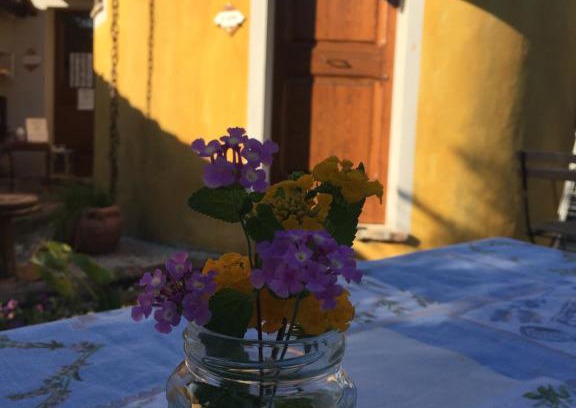 Fossacesia Bed & Breakfast | Experience Podere San Giovanni: Pet-Friendly Retreat Awaits