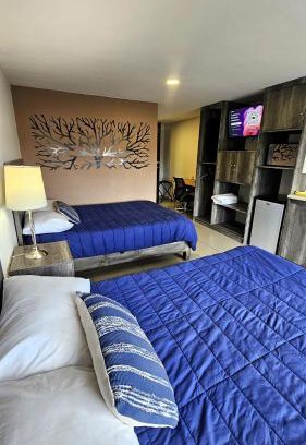 Ciudad Lopez Mateos Apartment | Eco-Friendly Suites with Breakfast at Casona Tres