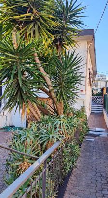 Sanremo House | Beautiful Oceanfront Retreat at Ca'del Pescatore