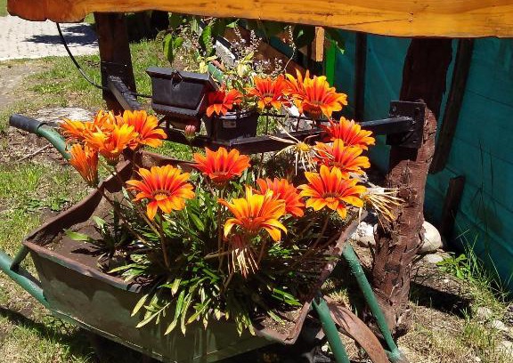 Lago Puelo Cabin | Accessible Cabaña Accesible Ipua: 10/10 Guest Rated Stay