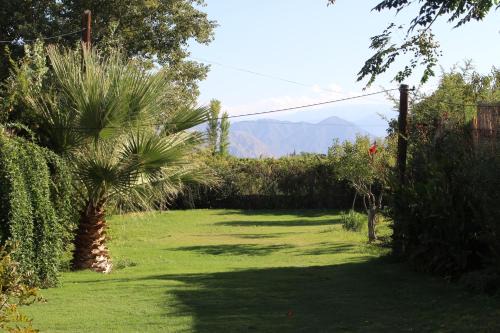 Ullum Department House | Pet-Friendly Cabaña Anjana with Pool & Perfect 10 Rating