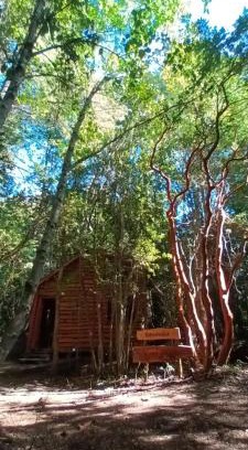 Pucon Apartment | Cabaña Arrayan