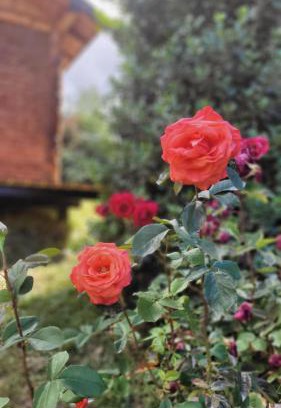 San Carlos de Bariloche House | Pet-Friendly Cabaña Bariloche with Ocean Views and Breakfast