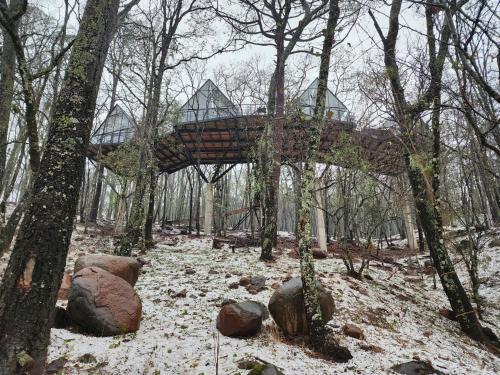 Omitlan de Juarez Ski Chalet | Cabaña Boreal, Punta del Bosque
