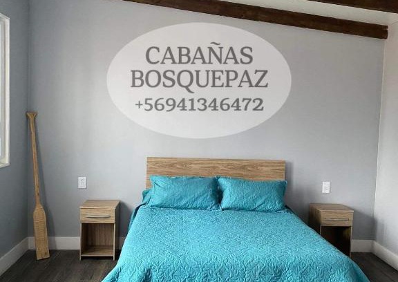 El Quisco House | Discover Cabaña Bosquepaz: Guest Rated 8.9/10 Stay