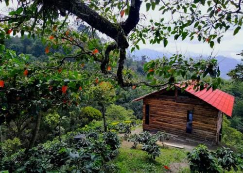 San Francisco House | Cozy Cabaña with Scenic Views and Family-Friendly Amenities