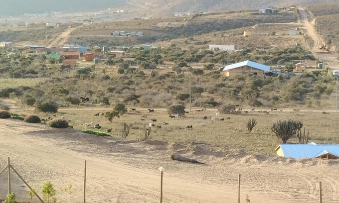 Coquimbo House | Discover Cabaña: Family and Pet-Friendly Getaway