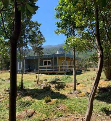 Lenca House | Cozy Cabin Surrounded by Native Trees and Family Amenities