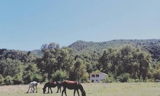 Pinto House | Pet-Friendly Cabaña with Spacious 10-Hectare Patio