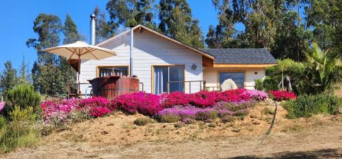 San Antonio House | Charming Cabaña de Campo: Pet-Friendly Retreat with Hot Tub