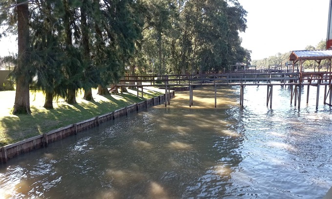 Partido de Tigre Cabin | Cozy Cabaña del Humedal: Ocean View & Pet-Friendly Stay