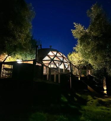Casa de Lata Apartment | Cabaña Domo Bosque Escondido