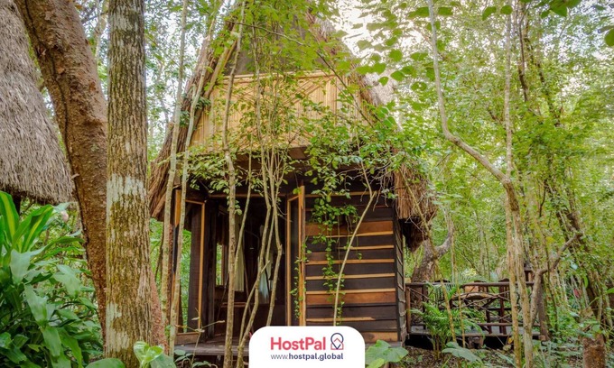 Leona Vicario Cabin | Cabaña Eco Friendly | Desconectar para conectar