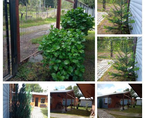 Conaripe House | Family-Friendly Cabaña "El Gringo" with High Guest Ratings
