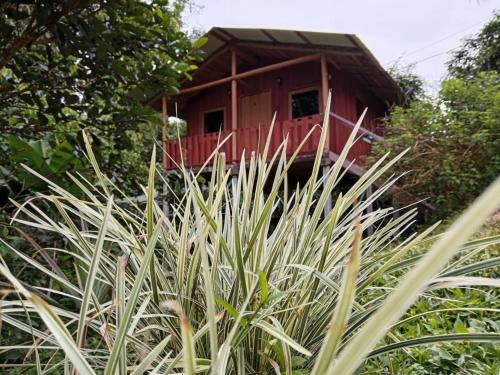 Quebrada La Gamba House | Relaxing Stay at Cabaña En El Bosque - Pet Friendly Retreat