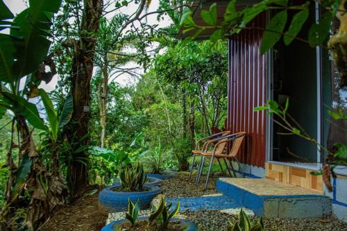 Venecia Apartment | Mountain Retreat: Guest Rated 9.5/10 for Unforgettable Stays