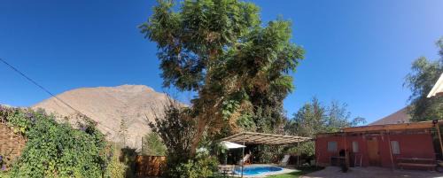 Horcon House | Idyllic Cabaña en Valle de Elqui with Oceanfront Views