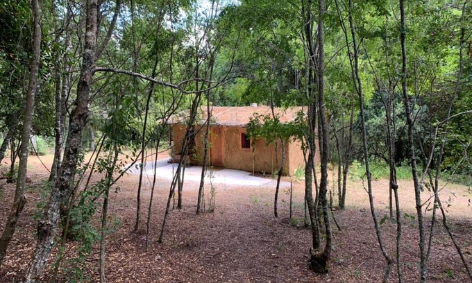 Villarrica House | Cozy Cabaña Entre Boldos: Pet-Friendly Family Retreat
