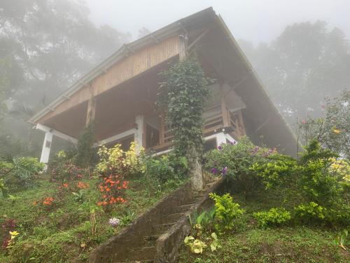 Papare House | Discover Cabaña Guarumo de la Sierra - Pet Friendly Retreat