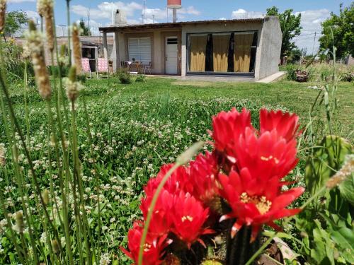 La Consulta Apartment | Family-Friendly Retreat at Cabaña Hurú Zaha - 9.7 Rated