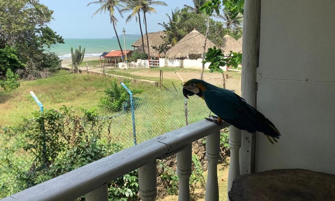 Tubara House | Inviting Cabaña Kitesurf Near Playa Palmarito
