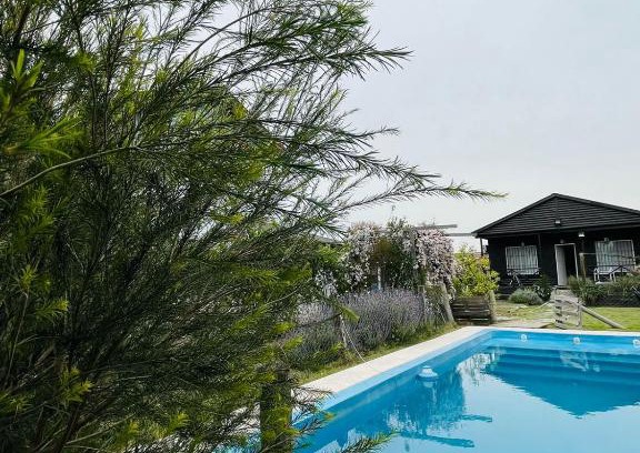 Tristan Suarez House | Oceanfront Cabaña La América: Pet Friendly & Family Fun