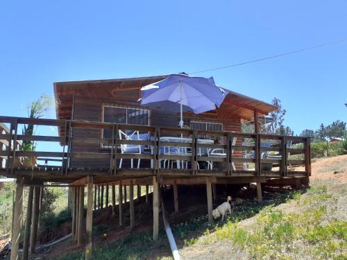 Valparaiso House | Discover Cabaña Las Orquideas 1: Family-Friendly Retreat