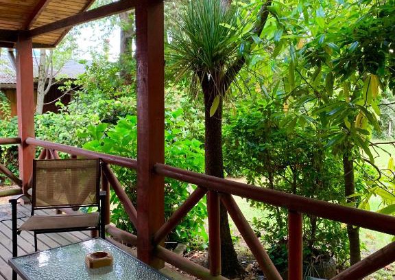 Conaripe House | Pet-Friendly Escape at Cabaña Las Patagüas - Coñaripe