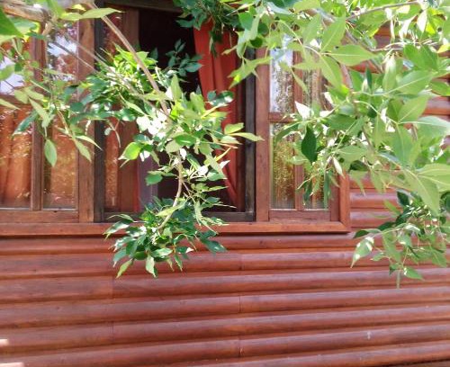 Gualeguaychu House | Discover Cabaña Los Cardenales: Pet-Friendly Retreat