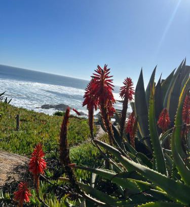 Pichilemu House | Oceanfront Cabaña Mar Pichilemu with Hot Tub & Fireplaces