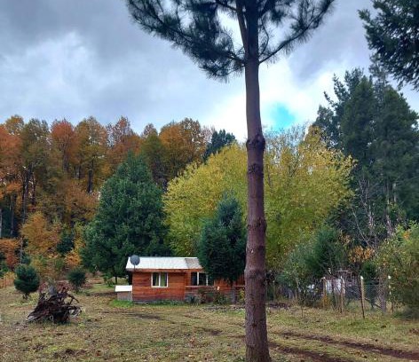 Melipeuco Apartment | Explore Cabaña May Pao: Pet-Friendly Stay in Melipeuco