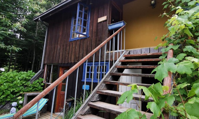 Conaripe House | Pet-Friendly Cabaña Radal Near Lake Calafquén Retreat