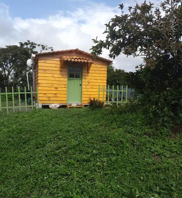 Salento Other | Pet-Friendly Cabaña Rural Durango for Your Ideal Getaway