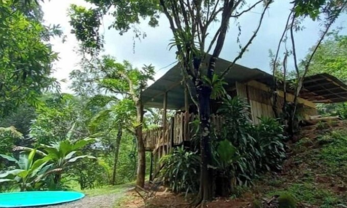 Naranjito Cabin | Inviting Cabaña The Garden: Pet-Friendly with Pool Access
