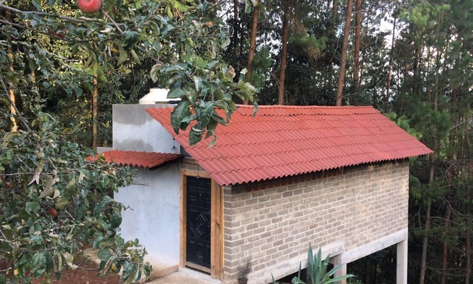 Zacatlan Cabin | Pet-Friendly Retreat at Cabaña Valle de Piedras Encimadas